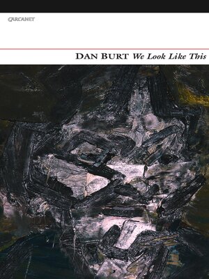 cover image of We Look Like This